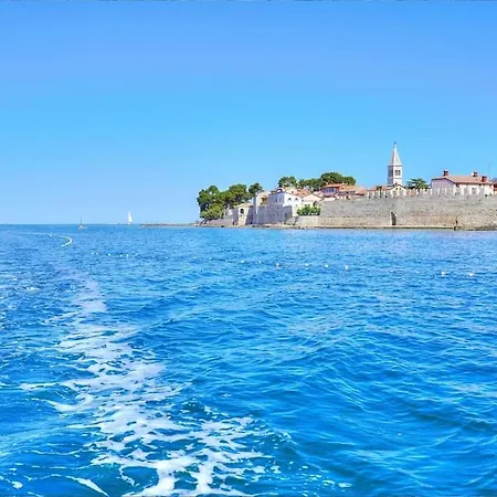 Erna - Cherry & Blue Novigrad Istria